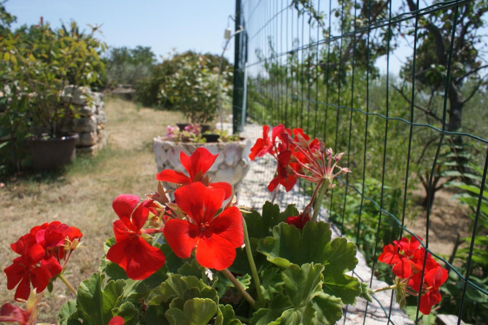 Studio Apartment Rimanic Sveti Lovreč Pazenatički 外观 照片